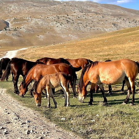 Bobica Konak - Lukomir Dış mekan fotoğraf