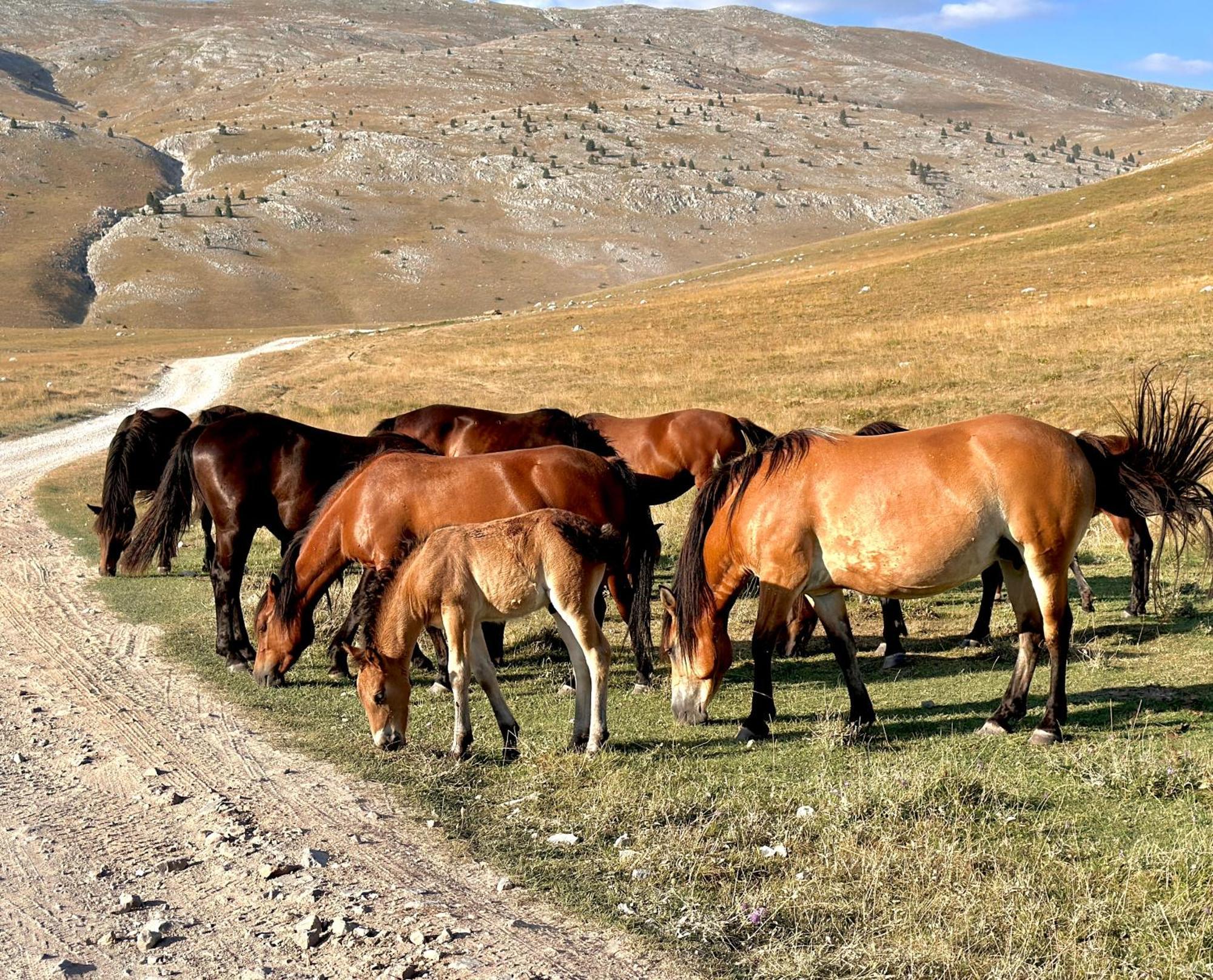 Bobica Konak - Lukomir Dış mekan fotoğraf